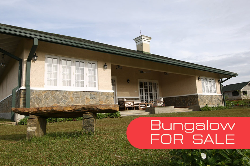 Luxury bungalow with world-class amenities