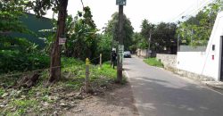 Land for sale at Kalapuwawa
