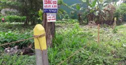 Land for sale at Kalapuwawa