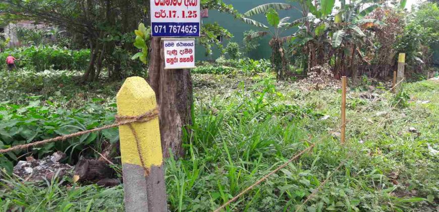 Land for sale at Kalapuwawa