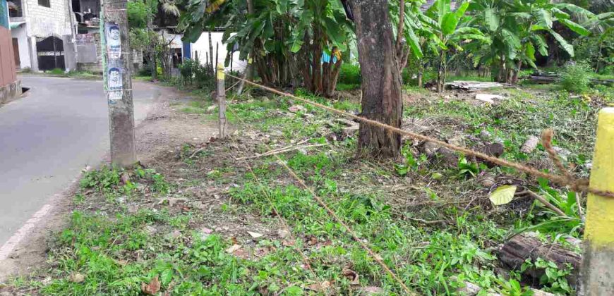 Land for sale at Kalapuwawa