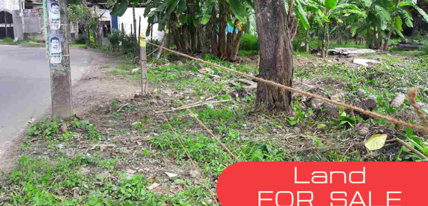 Land for sale at Kalapuwawa
